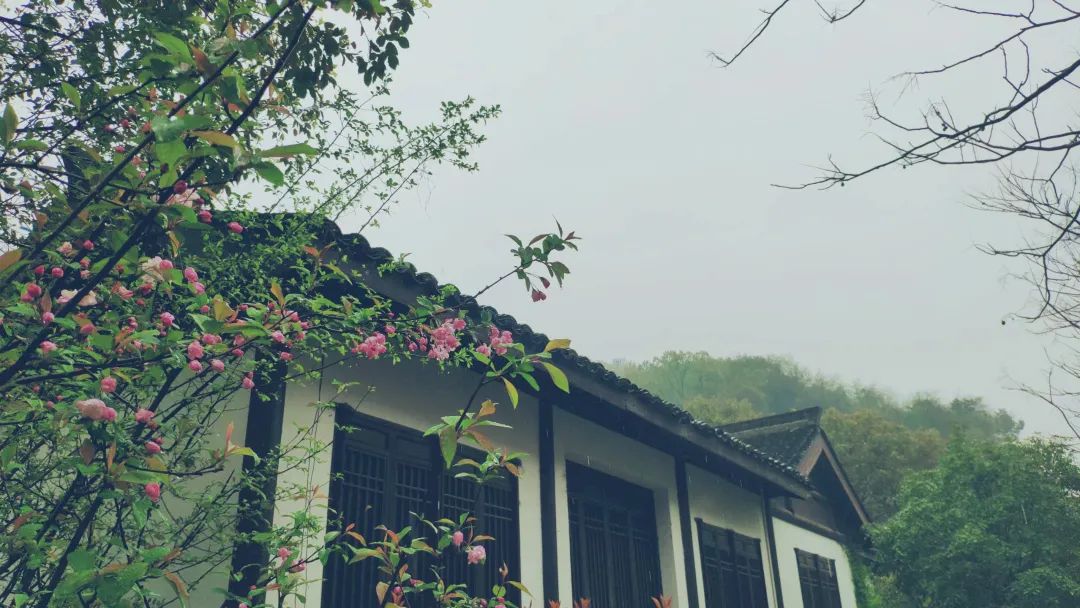 杭州茶書院啟幕 | 當(dāng)代「韓熙載夜宴」，復(fù)現(xiàn)中國文人雅趣生活插圖16