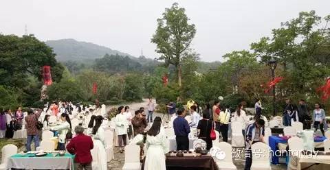 “漢唐杯”生活茶席設(shè)計比賽佳作頻出，完美落幕插圖